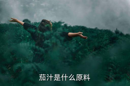 茄汁，茄汁是什么原料