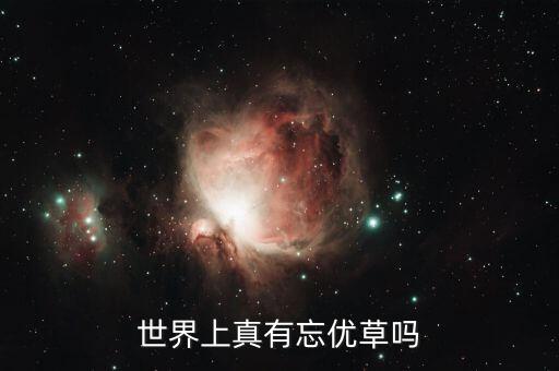 世界上真有忘优草吗