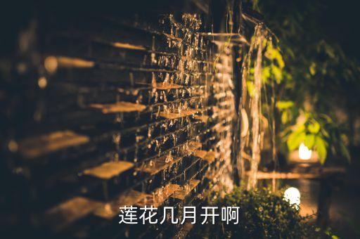 莲花什么时候开，莲花几月开花