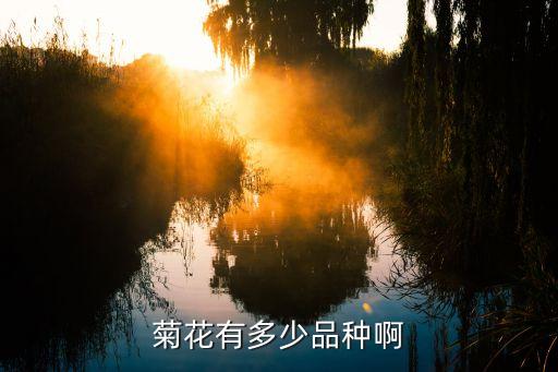 菊花有多少品种啊