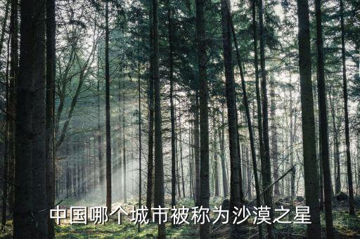 沙漠之星，中国哪个城市被称为沙漠之星