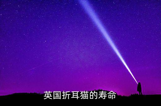 折耳猫寿命，英国折耳猫寿命多少