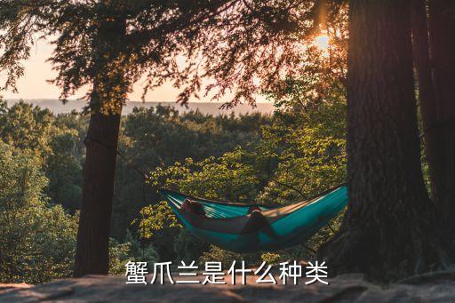 蟹甲兰，蟹爪兰是什么种类