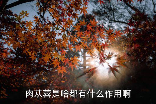 肉苁蓉，肉苁蓉是啥都有什么作用啊