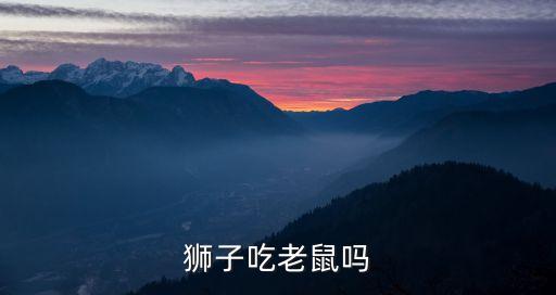 狮子吃什么，狮子一天要吃多少肉肉啊好浪费噢