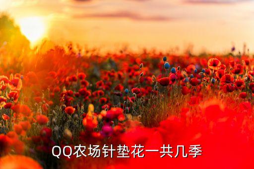 QQ农场针垫花一共几季