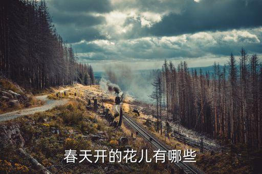 春天开的花儿有哪些