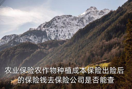 怎么查询农业保险退款，有谁知道怎么快速查保险到底有没有退