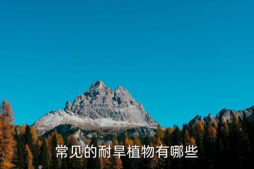 常见的耐旱植物有哪些