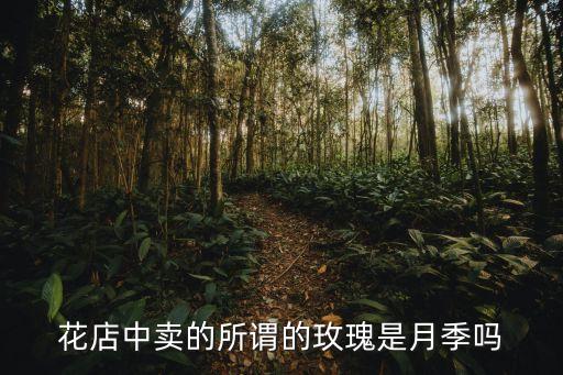 皇家胭脂月季图片，月月红是什么花