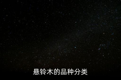 悬铃木，法国梧桐又叫悬铃木