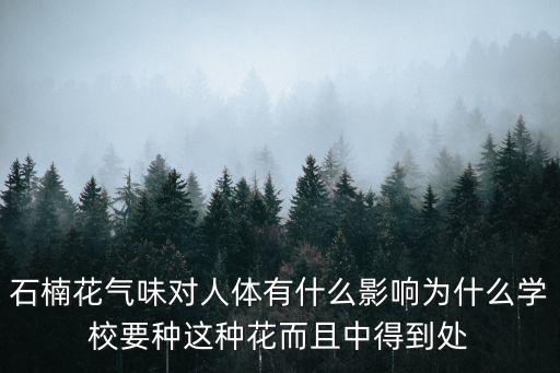 石楠花气味对人体有什么影响为什么学校要种这种花而且中得到处