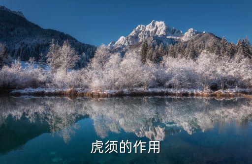 虎须，老虎须子有甚么用