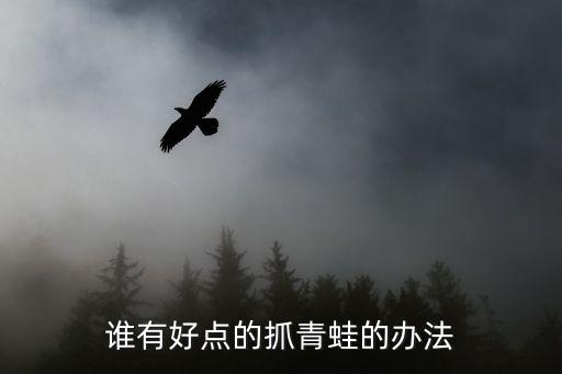 捕捉青蛙，谁有好点的抓青蛙的办法