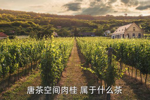 唐茶空间肉桂 属于什么茶