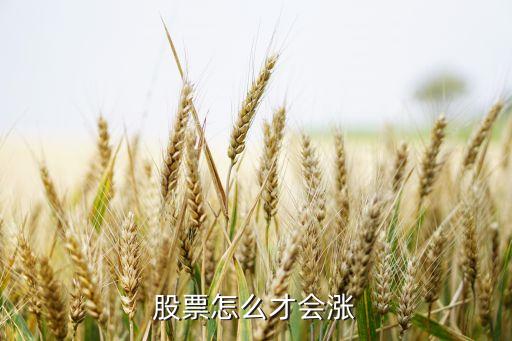 股票怎么才会涨