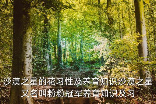 沙漠之星的花习性及养育知识沙漠之星又名叫粉粉冠军养育知识及习
