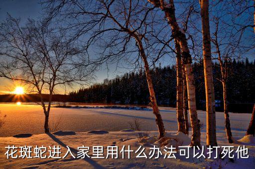 花斑蛇，花斑蛇进入家里用什么办法可以打死他