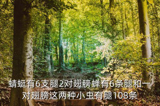 蜻蜓有6支腿2对翅膀蝉有6条腿和一对翅膀这两种小虫有腿108条