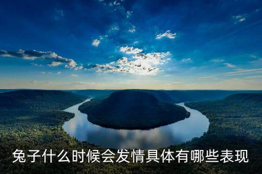 兔子什么时候会发情具体有哪些表现