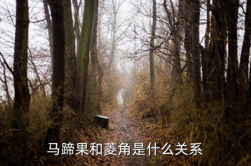 荸荠果，马蹄果书面语叫什么