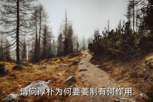 请问厚朴为何要姜制有何作用