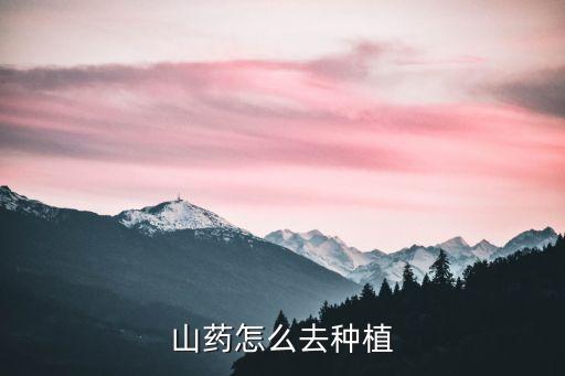 山药怎么种植，山药怎么种