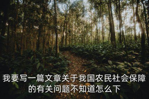 我要写一篇文章关于我国农民社会保障的有关问题不知道怎么下