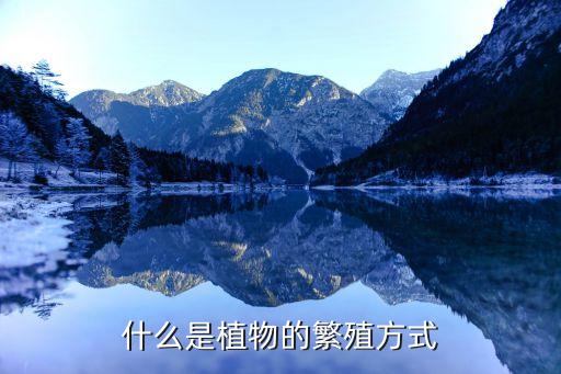 繁殖方式，繁殖方法有什么