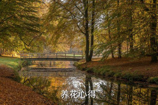 养花心得