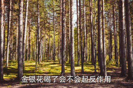 金银花副作用，金银花有副作用吗