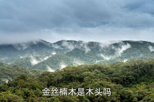 金丝楠木是木头吗