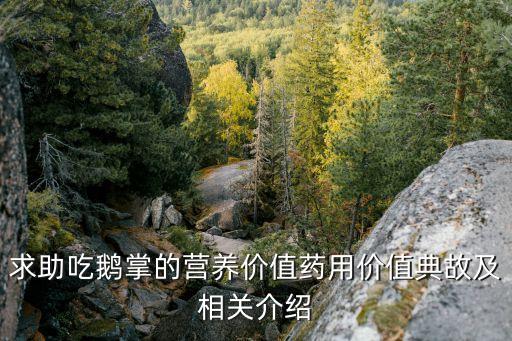 求助吃鹅掌的营养价值药用价值典故及相关介绍