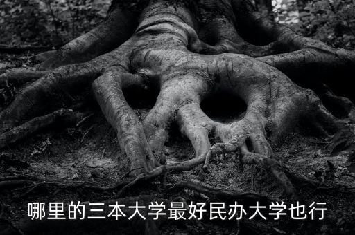 吉水农业怎么样了，哪里的三本大学最好民办大学也行