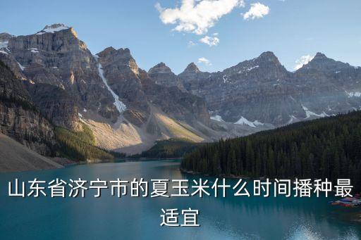 夏玉米播种时间，山东省济宁市的夏玉米什么时间播种最适宜