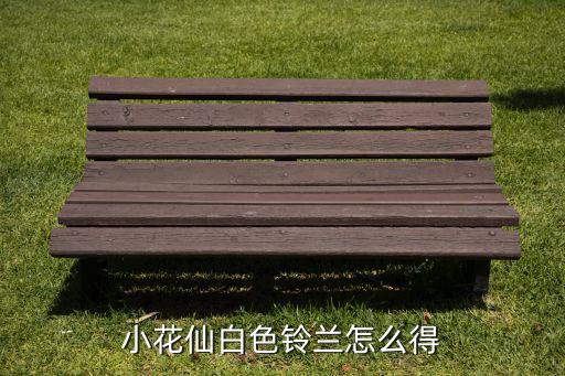 小花仙白色铃兰怎么得