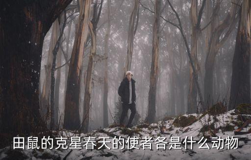 春天的使者，田鼠的克星春天的使者各是什么动物