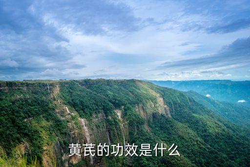 黄芪的功效是什么