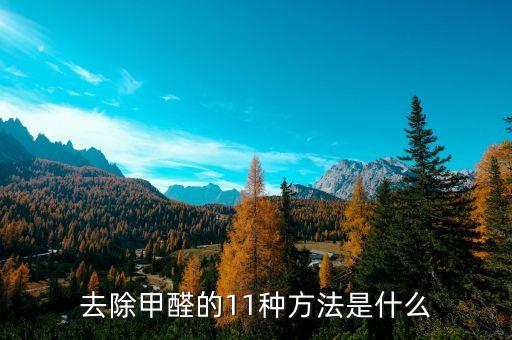 吸收甲醛，如何除甲醛求高手指点