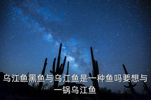 乌江鱼黑鱼与乌江鱼是一种鱼吗要想与一锅乌江鱼