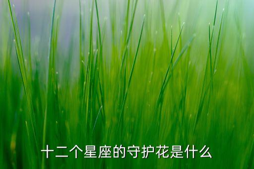 十二个星座的守护花是什么