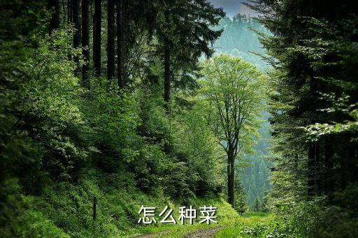 怎么种菜