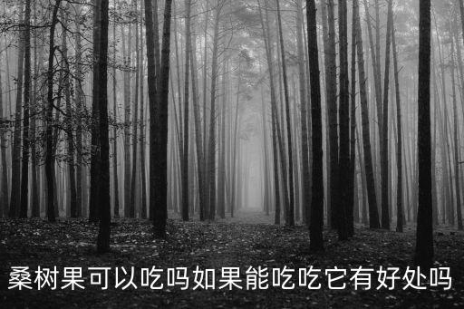 桑树果，桑树果和桑葚是一个东西吗