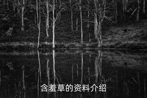 羞涩草，含羞草属于什么植物