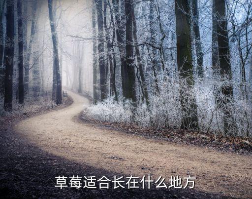 草莓生长环境，草莓生长在什么地方