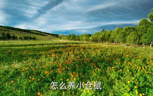 小仓鼠怎么养，怎样养小仓鼠