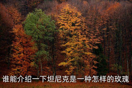 谁能介绍一下坦尼克是一种怎样的玫瑰