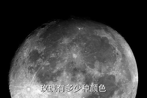 玫瑰有多少种颜色