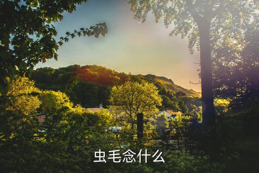 虫毛读什么，虫毛念什么