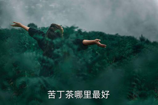 苦丁茶哪里最好